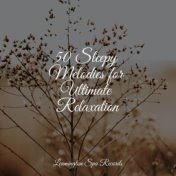 50 Sleepy Melodies for Ultimate Relaxation