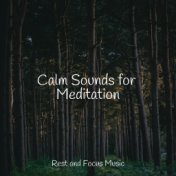 Calm Sounds for Meditation