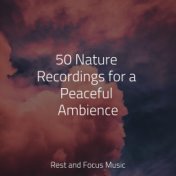 50 Nature Recordings for a Peaceful Ambience