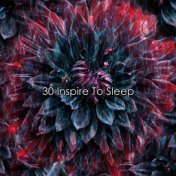 30 Inspire To Sleep