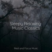 Sleepy Relaxing Music Classics