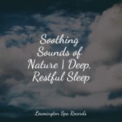 Soothing Sounds of Nature | Deep, Restful Sleep