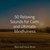 50 Relaxing Sounds for Calm and Ultimate Mindfulness