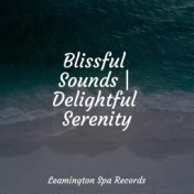 Blissful Sounds | Delightful Serenity