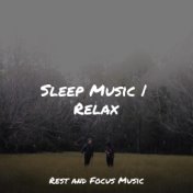 Sleep Music | Relax