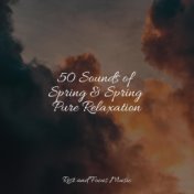 50 Sounds of Spring & Spring Pure Relaxation