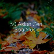 50 Asian Zen Spa Music