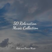 50 Relaxation Music Collection