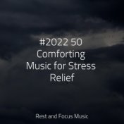 #2022 50 Comforting Music for Stress Relief