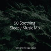 50 Soothing Sleepy Music Mix