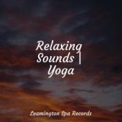 Relaxing Sounds | Yoga