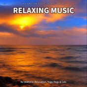 #01 Relaxing Music for Bedtime, Relaxation, Yoga, Dogs & Cats