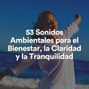 53 Sonidos Ambientales para el Bienestar, la Claridad y la Tranquilidad