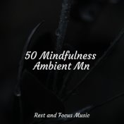 50 Mindfulness Ambient Mn