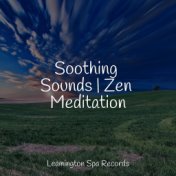 Soothing Sounds | Zen Meditation
