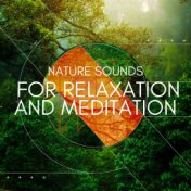 Nature Sounds for Relaxation and Meditation (Experience the Soothing Ambience of the Great Outdoors)