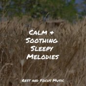 Calm & Soothing Sleepy Melodies