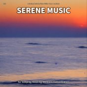 #01 Serene Music for Sleeping, Relaxing, Wellness, Concentration