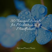 50 Tranquil Sounds for Meditation and Mindfulness