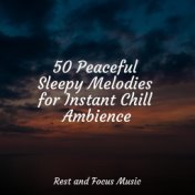 50 Peaceful Sleepy Melodies for Instant Chill Ambience