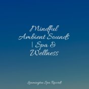Mindful Ambient Sounds | Spa & Wellness