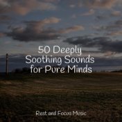 50 Deeply Soothing Sounds for Pure Minds