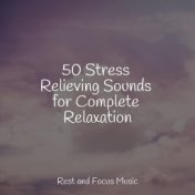 50 Stress Relieving Sounds for Complete Relaxation