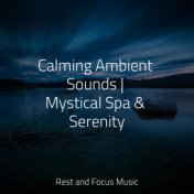 Calming Ambient Sounds | Mystical Spa & Serenity