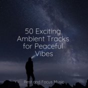 50 Exciting Ambient Tracks for Peaceful Vibes