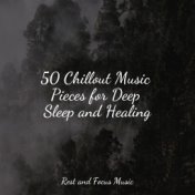 50 Chillout Music Pieces for Deep Sleep and Healing