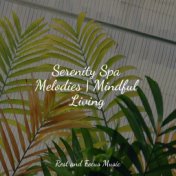 Serenity Spa Melodies | Mindful Living