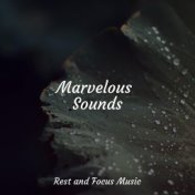 Marvelous Sounds