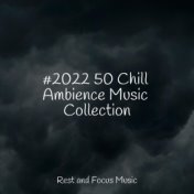 #2022 50 Chill Ambience Music Collection