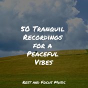 50 Tranquil Recordings for a Peaceful Vibes