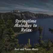 Springtime Melodies to Relax