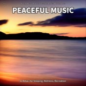 #01 Peaceful Music to Relax, for Sleeping, Wellness, Recreation