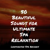 50 Beautiful Sounds for Ultimate Spa Relaxation