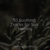 50 Soothing Tracks for Spa Healing