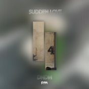 Sudden love