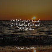50 Peaceful Sounds for Chilling Out and Meditation