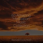 50 Amazing Meditation Music Collection