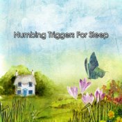 Numbing Triggers For Sleep