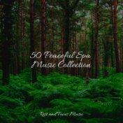 50 Peaceful Spa Music Collection