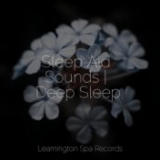 Sleep Aid Sounds | Deep Sleep