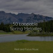 50 Loopable Spring Melodies