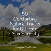 50 Comforting Nature Tracks for Ultimate Spa Serenity