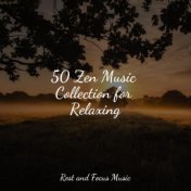 50 Zen Music Collection for Relaxing