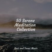 50 Serene Meditation Collection