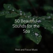 50 Beautiful Sounds for the Spa