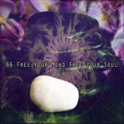 66 Free Your Mind Free Your Soul